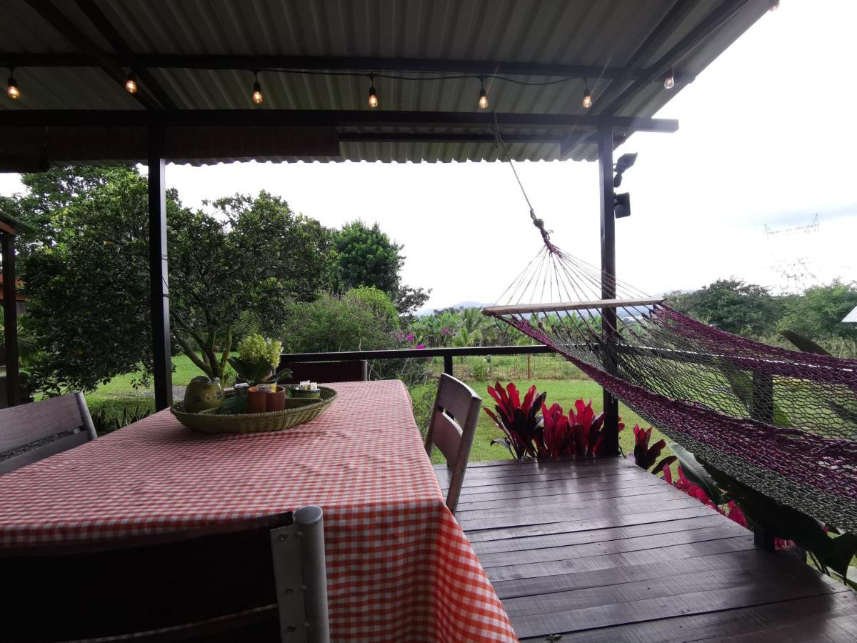 Dreamcatcher House Sarchi Exterior photo