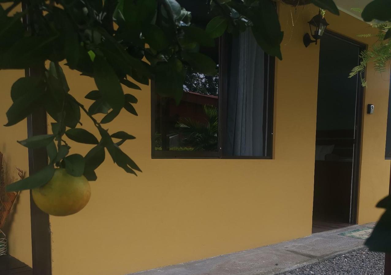 Dreamcatcher House Sarchi Exterior photo