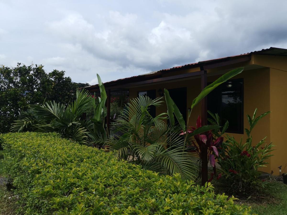 Dreamcatcher House Sarchi Exterior photo